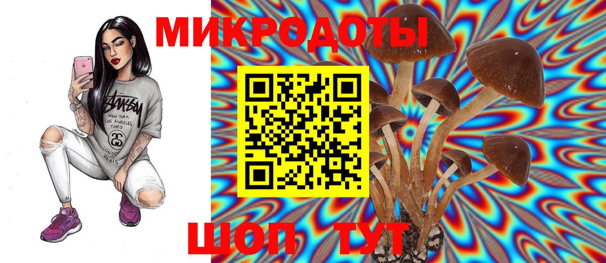 Псилоцибиновые грибы Cubensis  Вход с VPN  Гуково  Псилоцибиновые грибы прущие грибы 